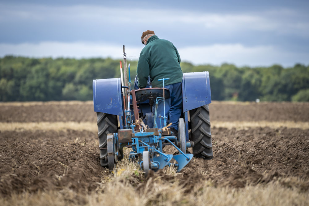 Blue tractor ploughing